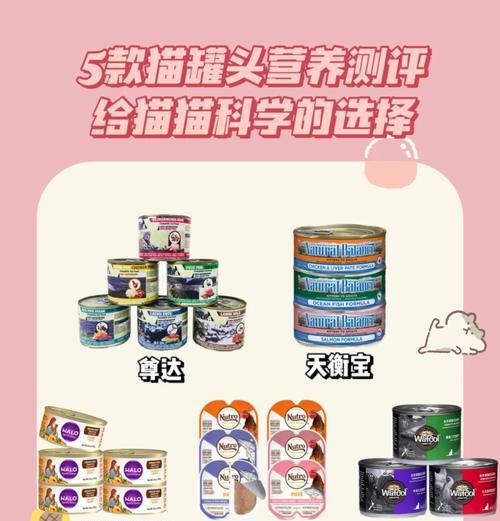 猫粮和猫罐头如何进行有效带货？