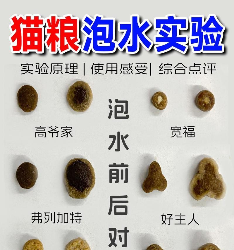猫粮泡温水会导致中毒吗？