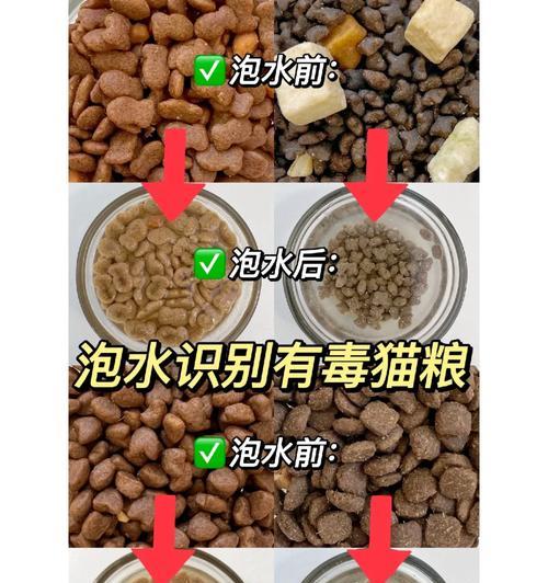 猫粮泡温水会导致中毒吗？