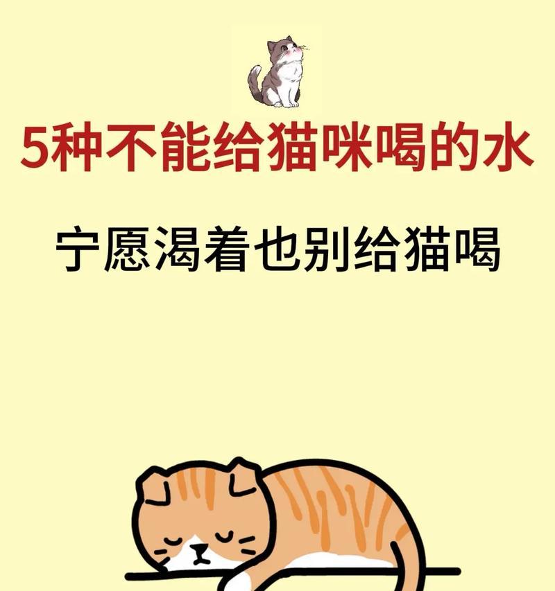 往猫粮倒水属于什么行为？这种行为对猫咪健康有影响吗？