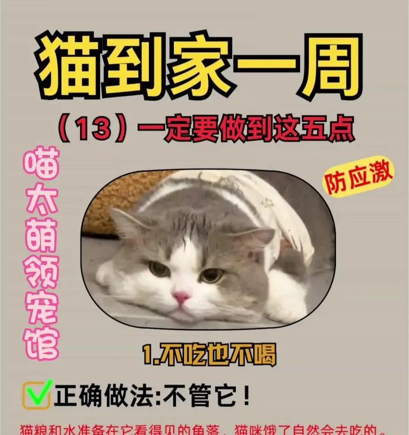 猫吃肉后也不吃猫粮了怎么办？如何让猫咪重新接受猫粮？