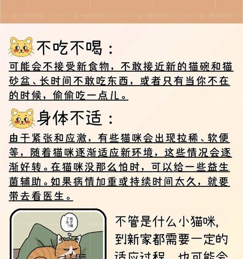 猫吃肉后也不吃猫粮了怎么办？如何让猫咪重新接受猫粮？