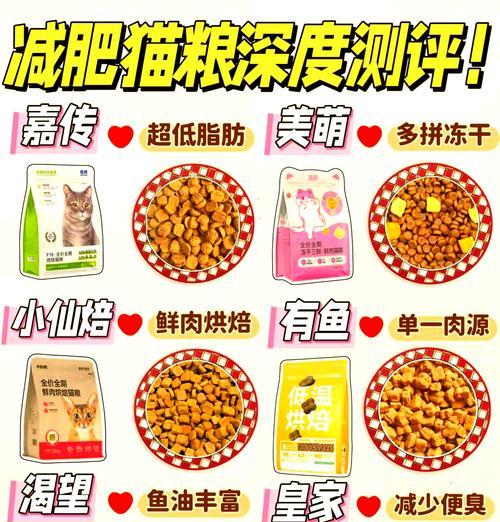 猫咪减肥应该选择哪种高端猫粮？如何选择适合减肥的猫粮？