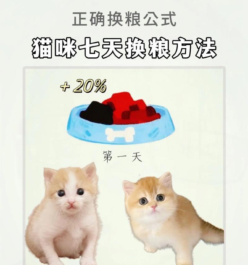 新买的猫粮如何处理？猫咪换粮的正确步骤是什么？