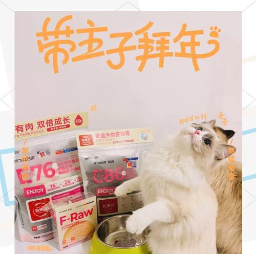 两只猫咪如何正确喂食猫粮？对话中透露了什么？