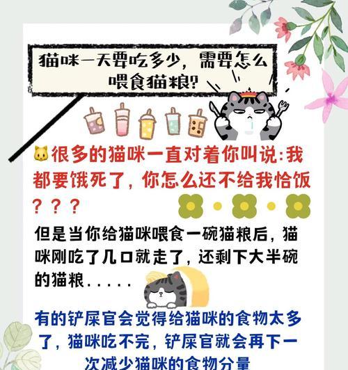 两只猫咪如何正确喂食猫粮？对话中透露了什么？