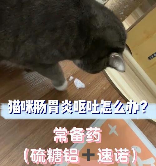 猫吐出带有毛发的猫粮怎么办？需要喂什么药？