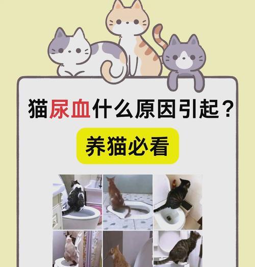 猫粮苦涩的原因是什么？