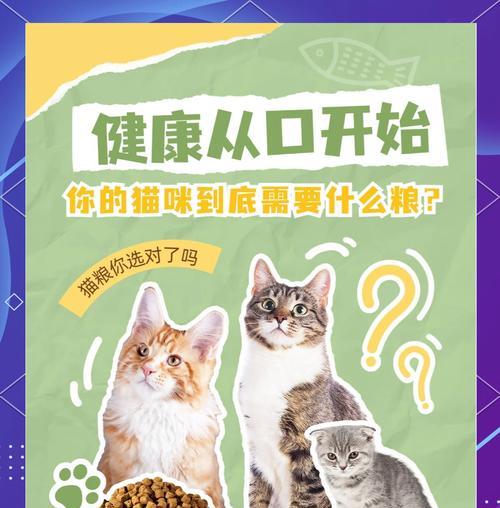 羊驼喷口水主人塞袜子会怎么样？冻干猫咪爱吃什么猫粮？