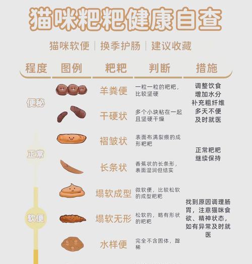 猫大便中含猫粮是正常现象吗？