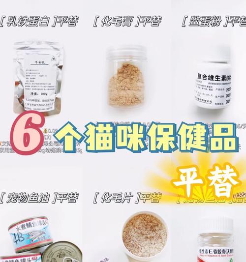猫咪临时主食替代品有哪些？如何选择？