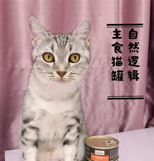 猫咪临时主食替代品有哪些？如何选择？