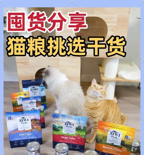 猫咪临时主食替代品有哪些？如何选择？