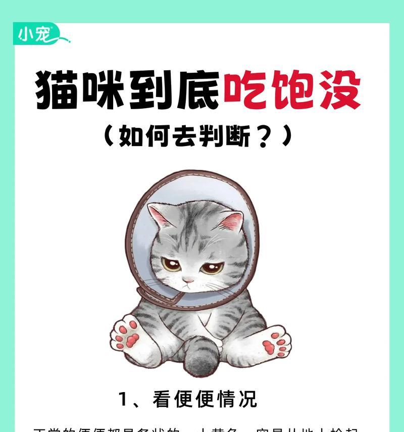小猫吃猫粮知道吃饱吗为什么？它们的饱腹感如何？