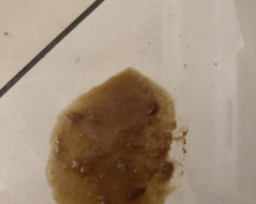 小猫吐了棕色液体猫粮怎么办？这是什么原因导致的？