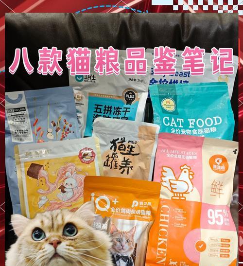 八只小猫的猫粮选择推荐？哪种猫粮更合适？