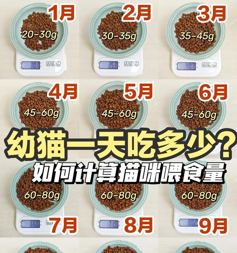 怎么算猫粮脂肪量高低？如何判断猫粮的营养成分？