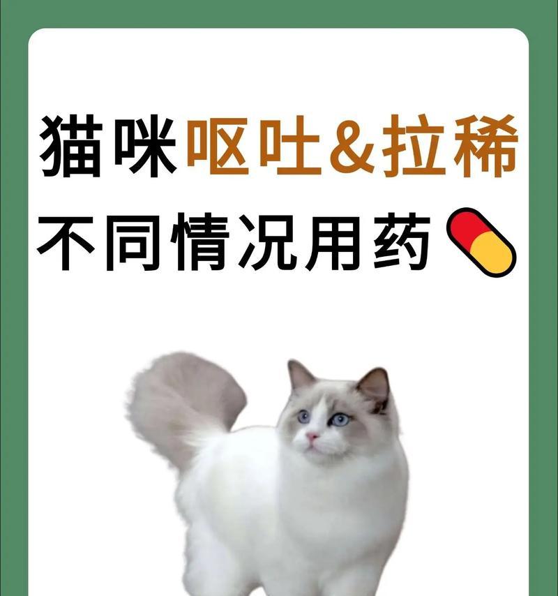 猫吃猫粮呕吐拉稀怎么办？需要服用什么药物？