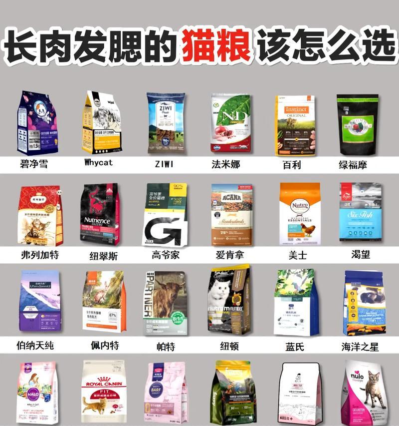 种公猫发腮需要哪种猫粮？如何选择合适的猫粮？