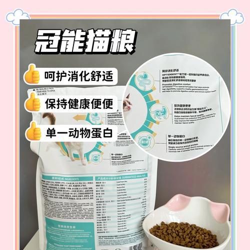 如何正确使用猫咪移动装猫粮的盘子？