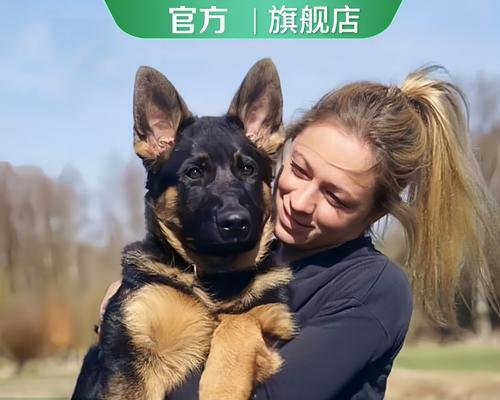 大型德牧狗笼的价格是多少？购买时应注意哪些事项？