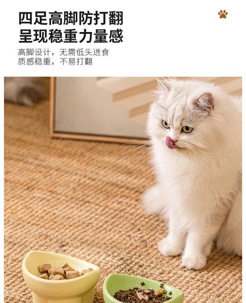 猫碗防打翻装猫粮的正确方法是什么？