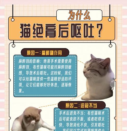 猫咪绝育后呕吐的处理方法是什么？