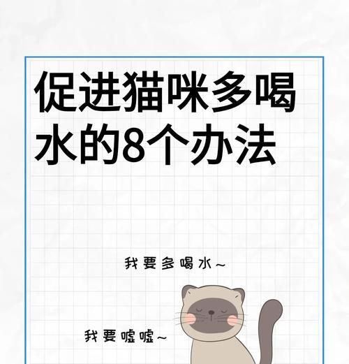 小猫吃猫粮时如何饮水？喝水的重要性是什么？