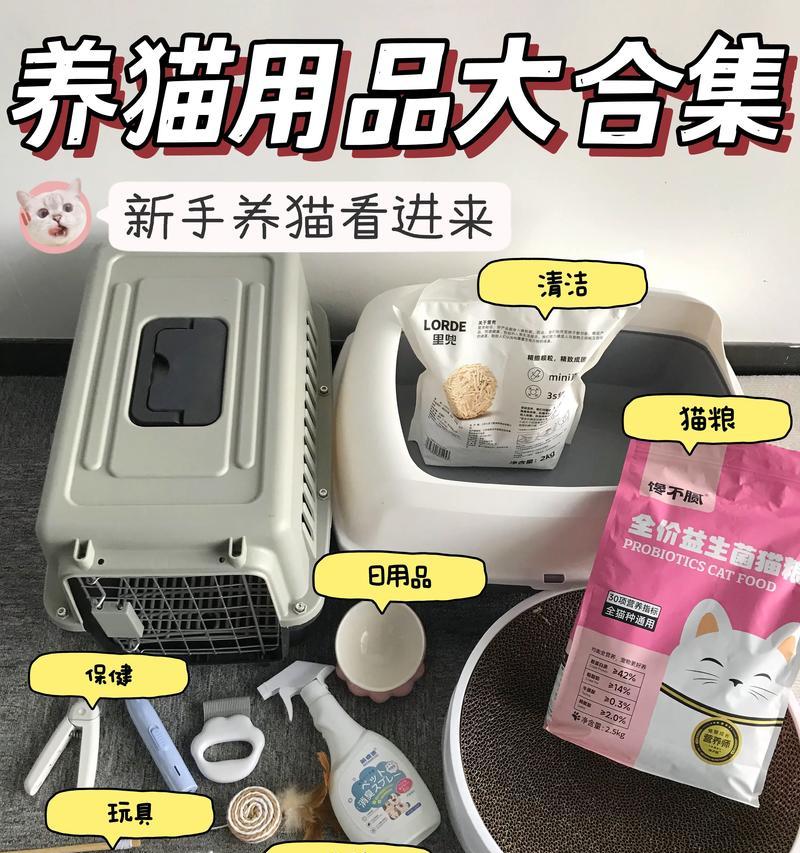 如何以低成本高效地发货猫粮？