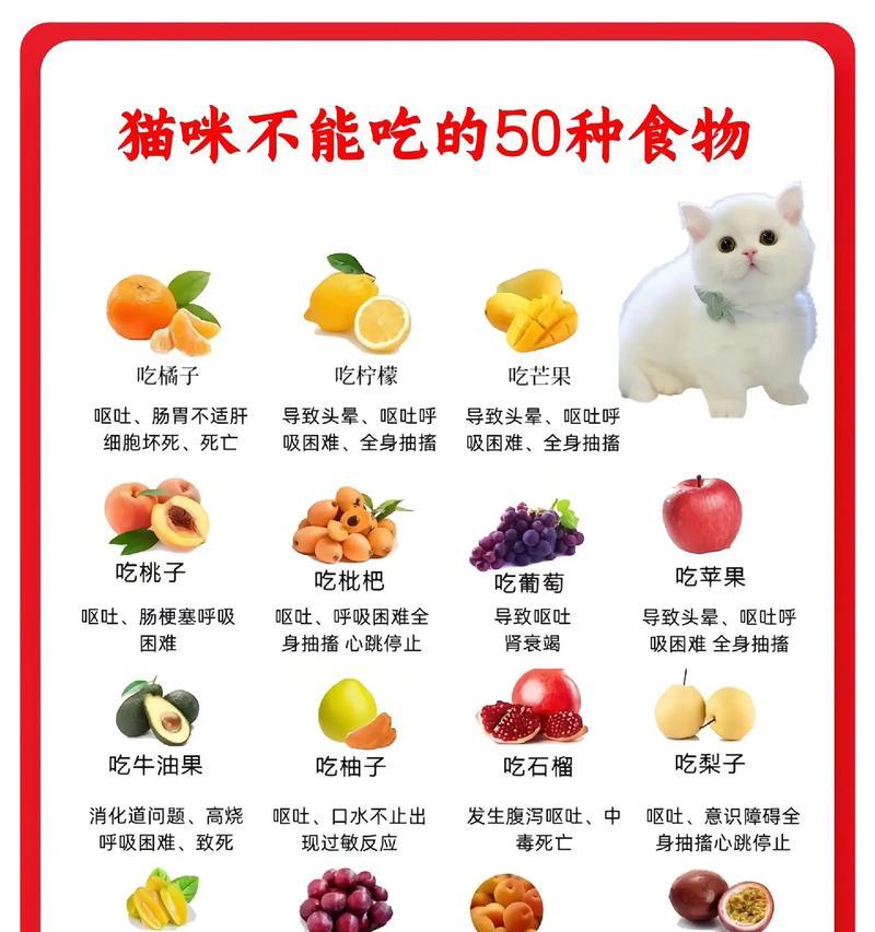 7个月大的猫咪每天吃不到50克猫粮正常吗？如何提高猫咪的食欲？