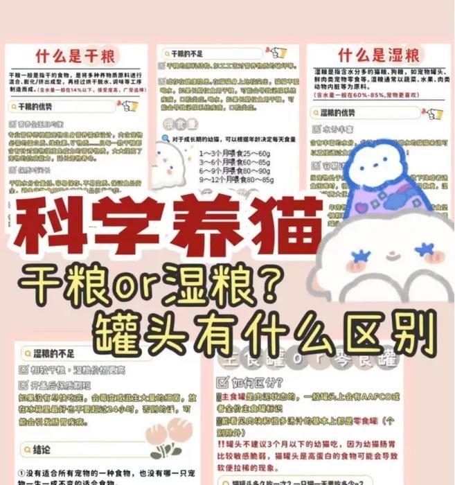幼猫何时可以吃干猫粮？