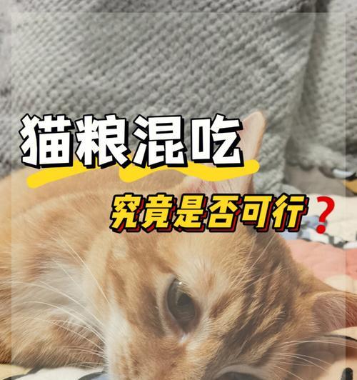吃猫粮后说猫语是什么意思？这种现象正常吗？