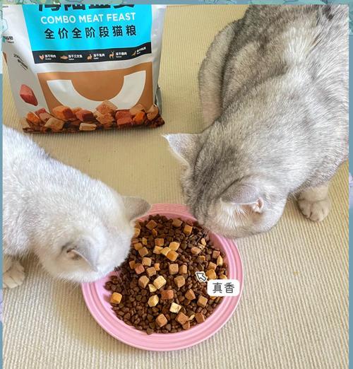 猫咪发现大量猫粮时应如何处理？