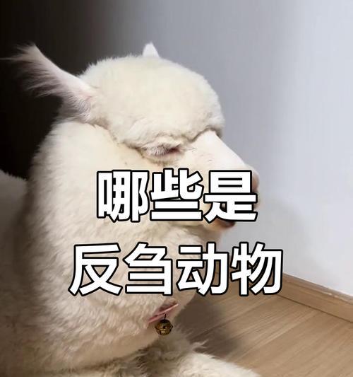 羊驼遇到恐龙会发生什么？它们会如何应对？