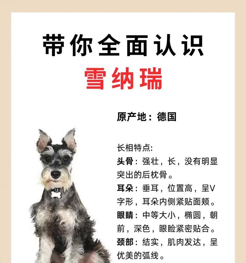 去除雪纳瑞螨虫需要多少费用？