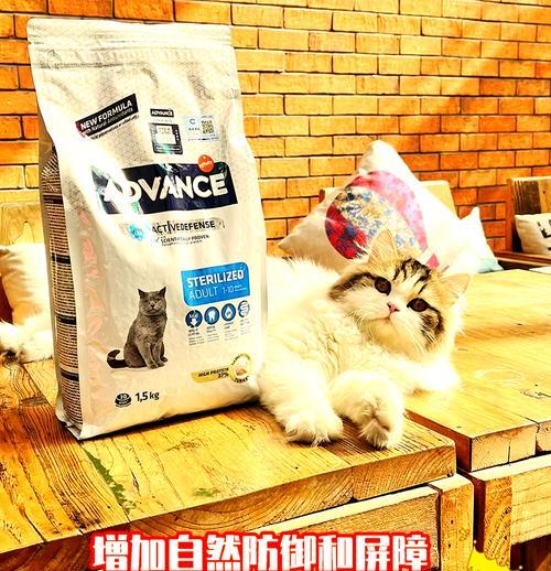 猫刚绝育后吃猫粮需要注意什么？