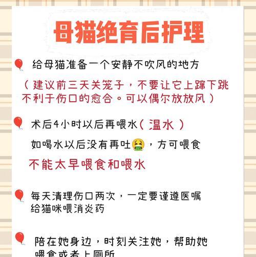 猫刚绝育后吃猫粮需要注意什么？