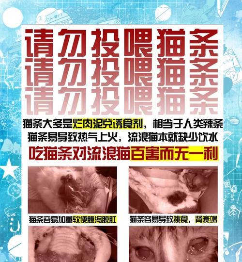 猫咪拒绝猫条和猫粮怎么办？有哪些吸引它们的方法？