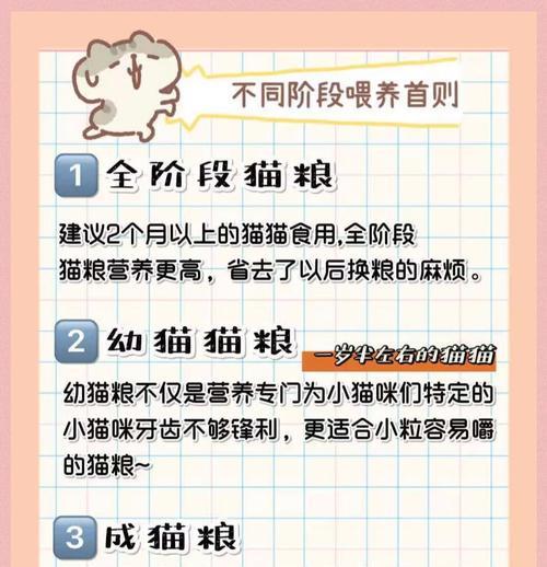 三段猫粮适合猫咪的哪个成长阶段？