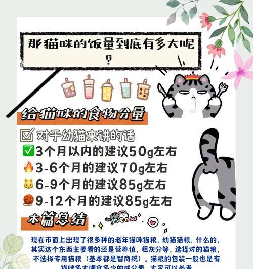 如何合理安排猫咪一天的猫粮喂食？