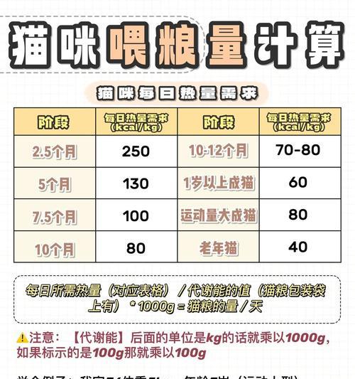 如何合理安排猫咪一天的猫粮喂食？