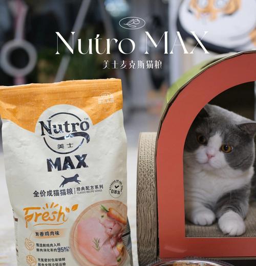 怎么搞猫粮最快消化掉？有哪些方法可以加速猫粮消化？