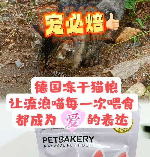 喂食流浪猫肉粉猫粮会有什么后果？