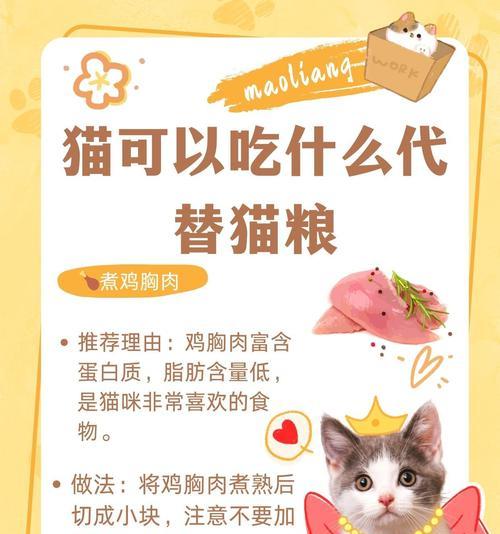 戴脖圈的猫如何吃猫粮？有没有特别的喂食技巧？