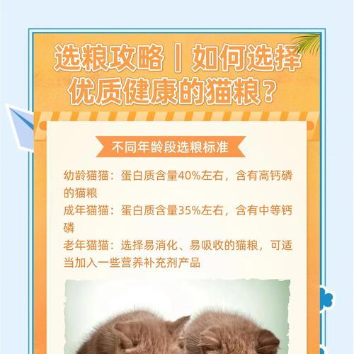 猫咪偏爱的猫粮有哪些特点？如何选择让猫咪超喜欢的猫粮？