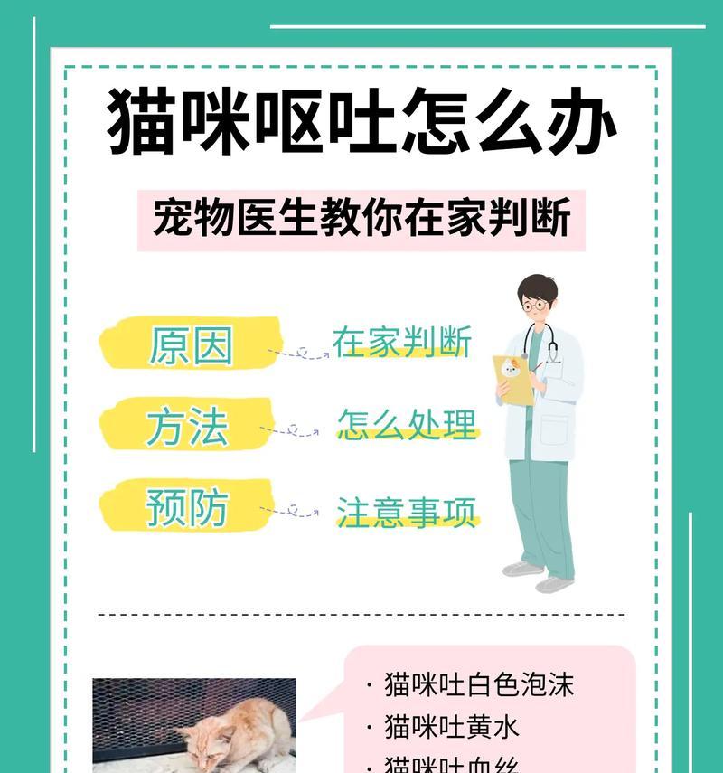 猫咪吃鱼后喂猫粮呕吐怎么回事？可能的原因是什么？