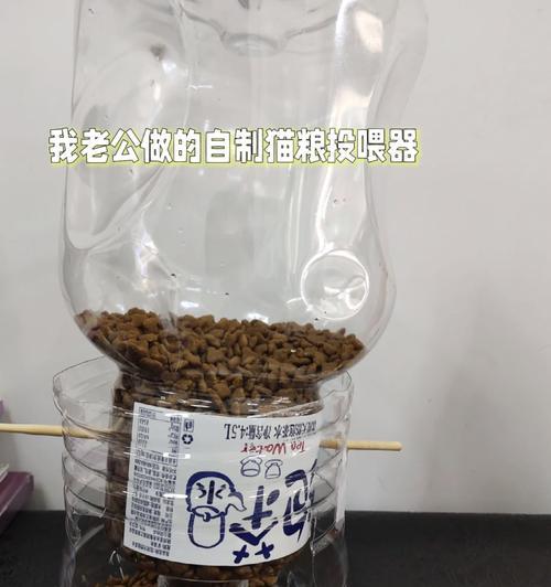 宠物猫自制猫粮的方法是什么？需要注意什么？