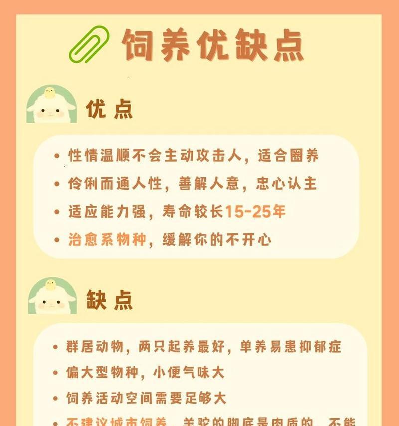 女生为羊驼起的网名有哪些创意？