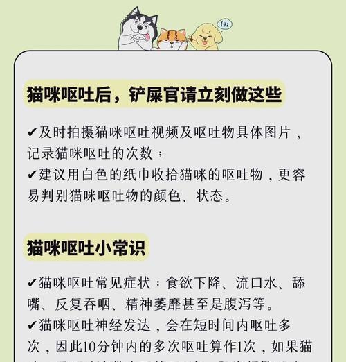 猫粮干呕是什么情况啊？猫粮干呕的原因和解决方法是什么？