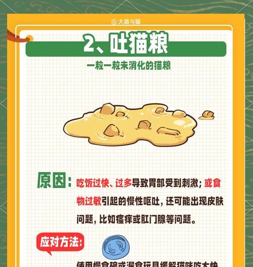 猫粮干呕是什么情况啊？猫粮干呕的原因和解决方法是什么？